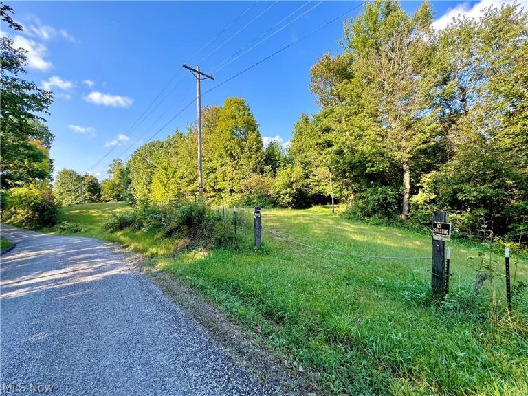 Virginia Ridge Road, Philo, OH - Photo 4