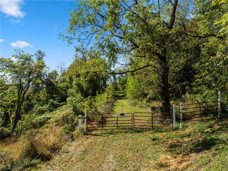 61930 Webb Heights Road, Shadyside, OH - Photo 4