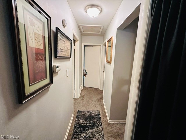 16709 Fairfax Avenue, Cleveland, OH - Photo 5