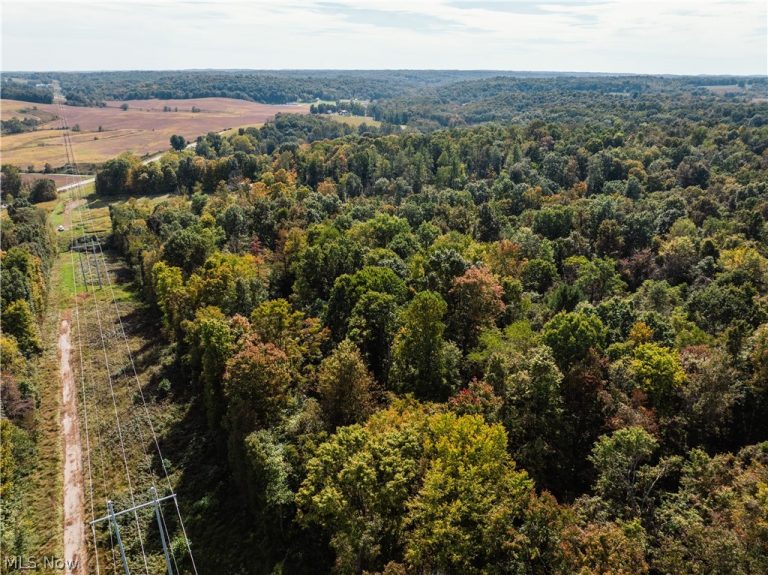 State Rt 204, Mount Perry, OH - Photo 2