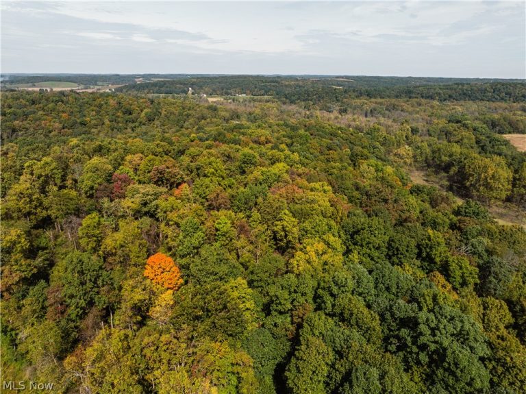State Rt 204, Mount Perry, OH - Photo 4