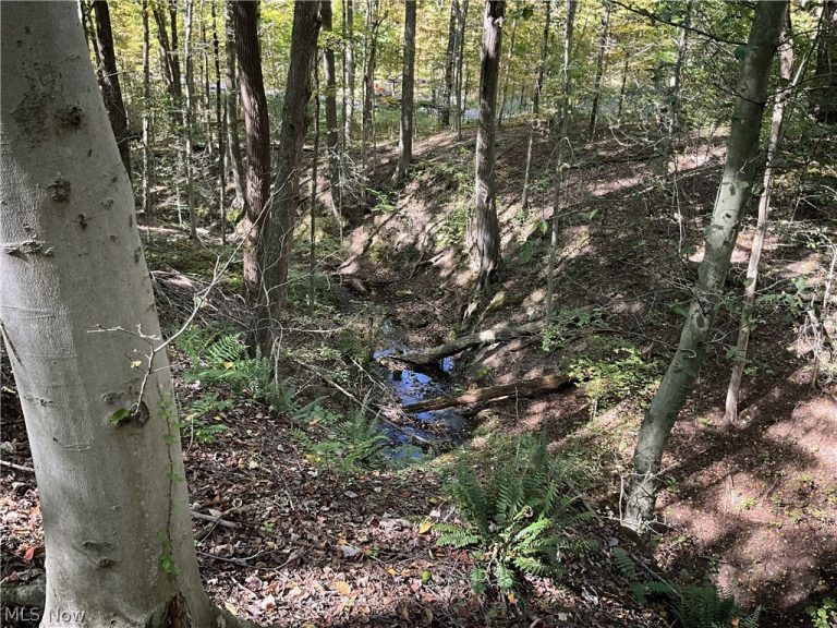 TR 2 Lot 7 Streetsboro Road, Richfield, OH - Photo 6