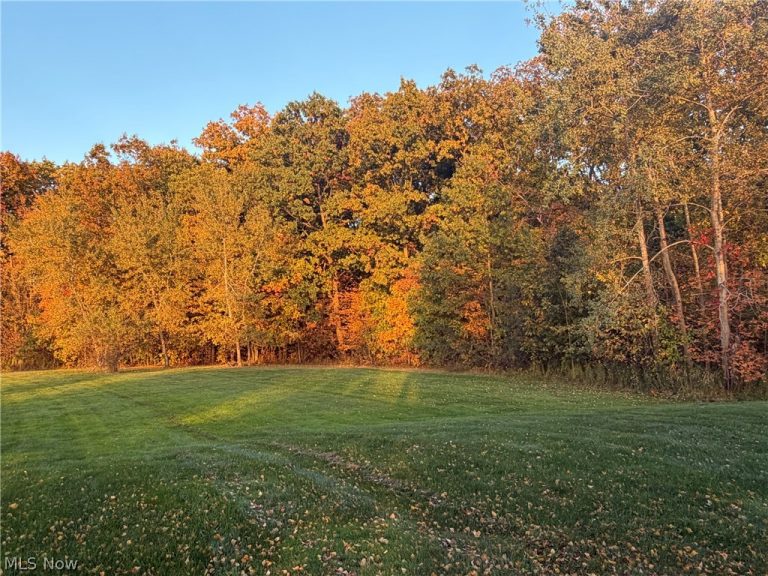 S/L 6 Walking Stick Lane, Chardon, OH - Photo 3