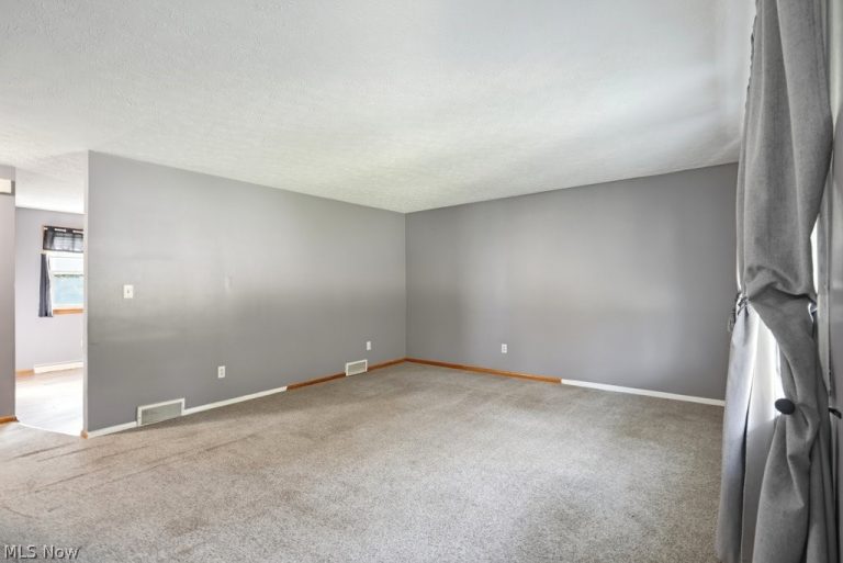 1718 Woodlawn Avenue, Canton, OH - Photo 8