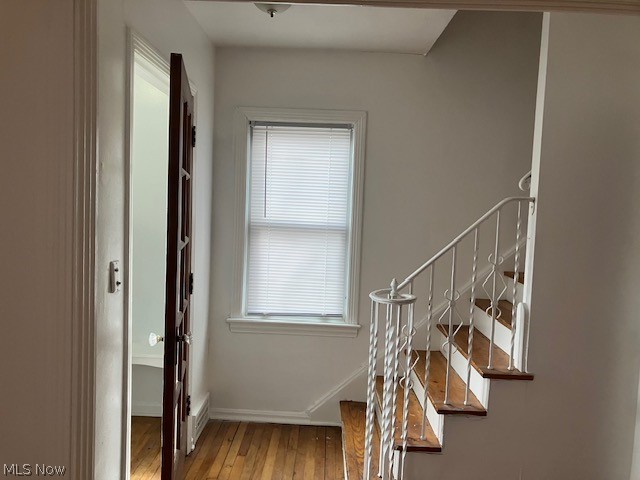 1659 Ivydale Road, Cleveland Heights, OH - Photo 8