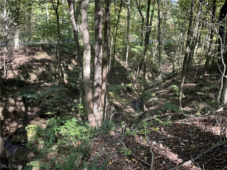TR 2 Lot 7 Streetsboro Road, Richfield, OH - Photo 8