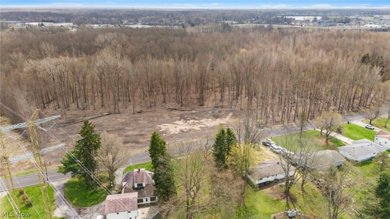 V/L Chestnut Ridge Road, North Ridgeville, OH - Photo 2