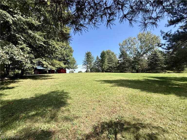 2717 Niles Vienna Road, Niles, OH - Photo 8
