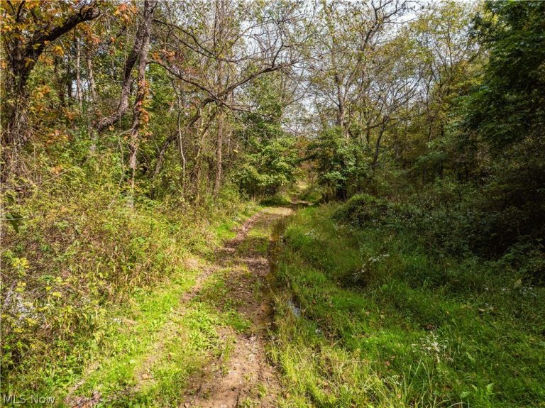 State Rt 204, Mount Perry, OH - Photo 6