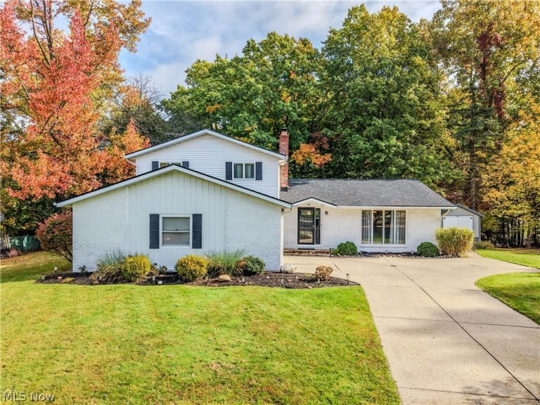 57 Woodhollow Drive, Brunswick, OH, 44212