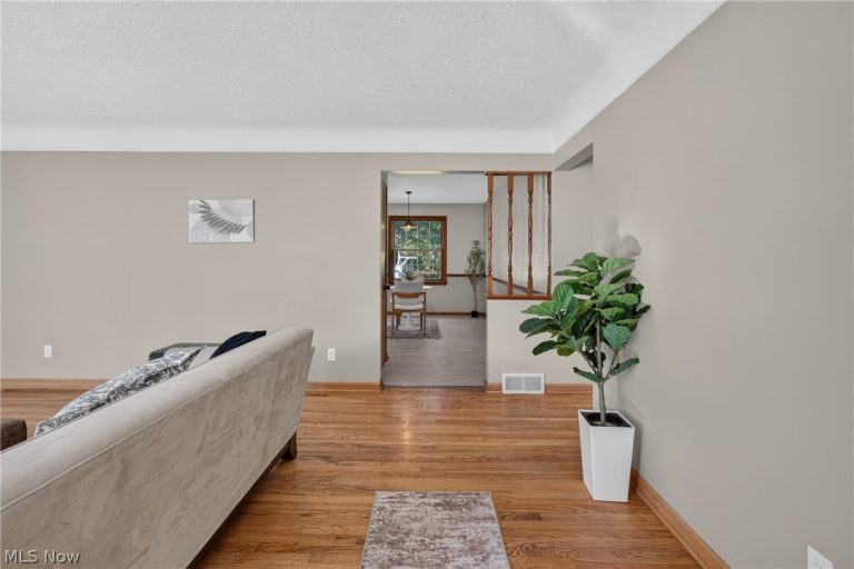 6092 Chidester Drive, Canfield, OH - Photo 4