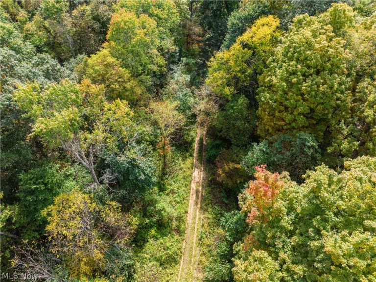 State Rt 204, Mount Perry, OH - Photo 8