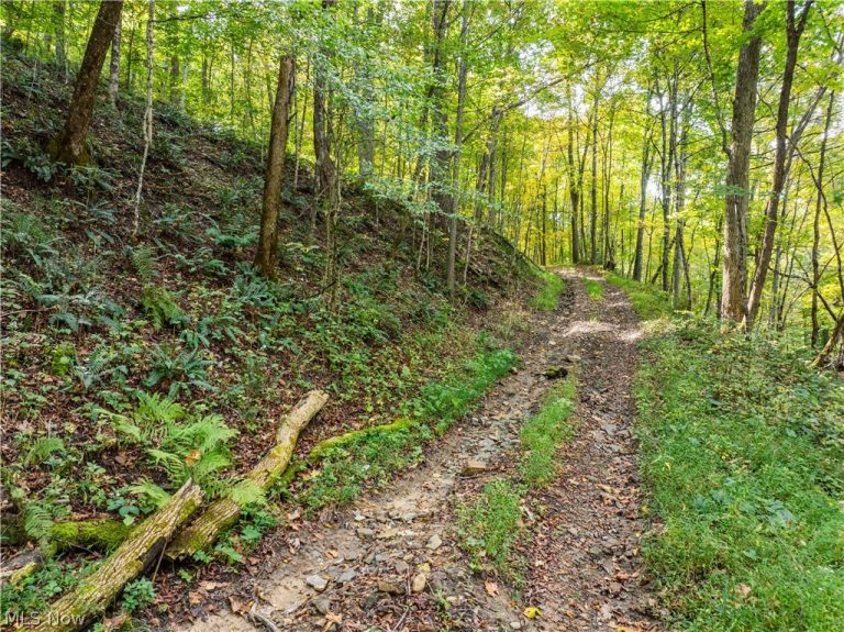 State Rt 204, Mount Perry, OH - Photo 5