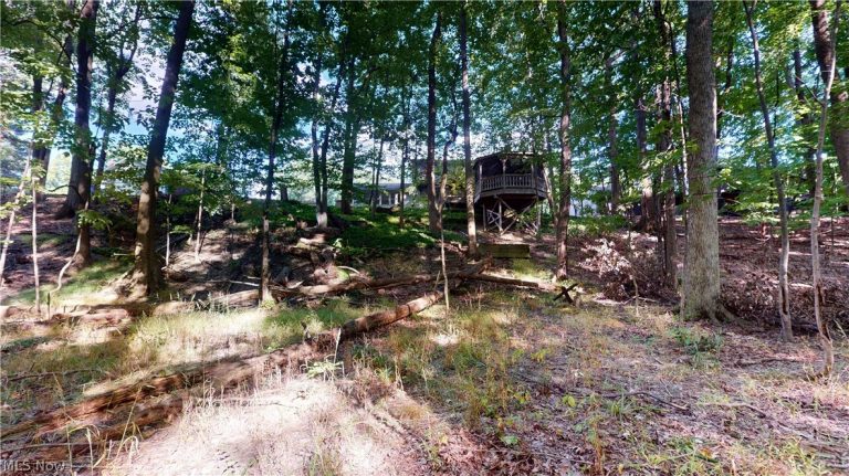 20076 Idlewood Trail, Strongsville, OH - Photo 5