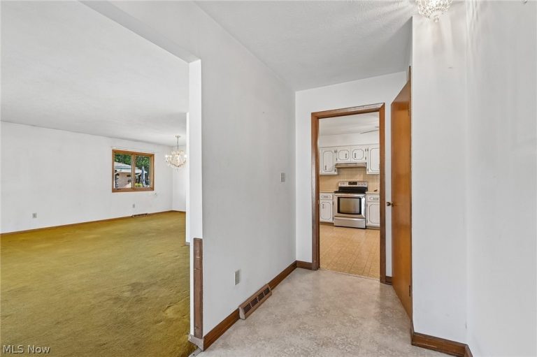 966 Primrose Drive, Seven Hills, OH - Photo 5