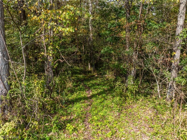 5871 State Rt 204, Mount Perry, OH - Photo 5