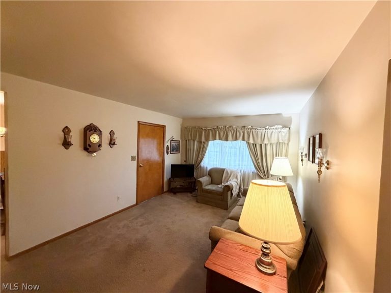 1501 Gypsy Lane, Niles, OH - Photo 5