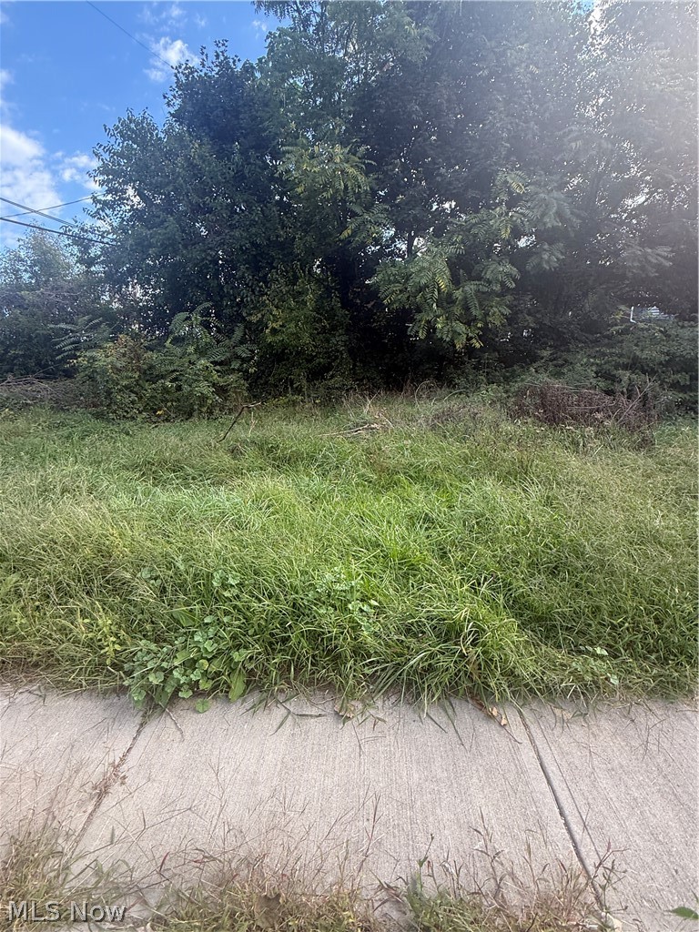 2103 81st Street, Cleveland, OH - Photo 4