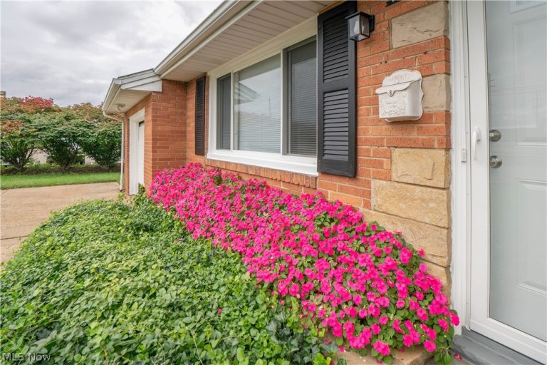 1615 Whipple Avenue, Canton, OH - Photo 3
