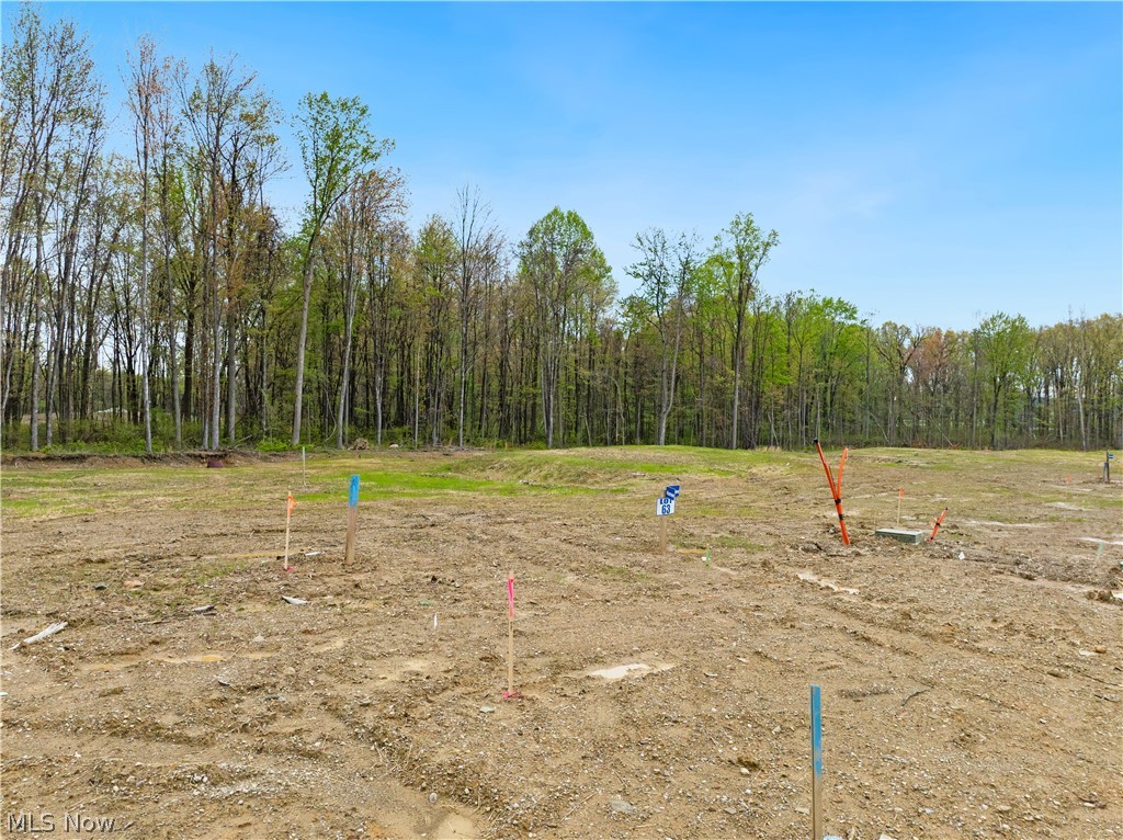 9525 River Birch Run, Brecksville, OH