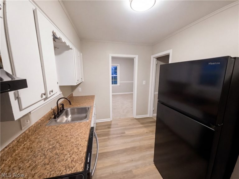 25 Woolf Avenue, Akron, OH - Photo 8